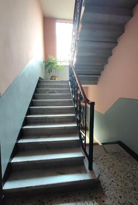Il Nespolo Pala Alpitour * Turin